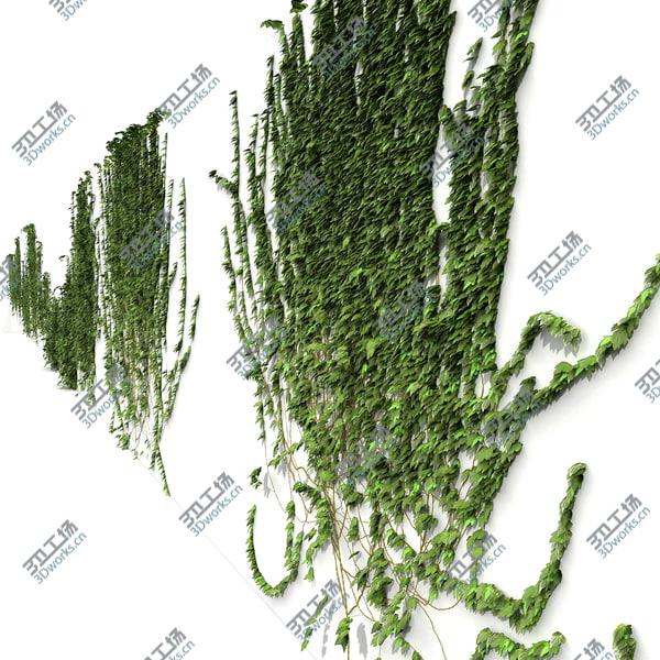 images/goods_img/20210312/Green Ivy Plant Collection On Wall/3.jpg
